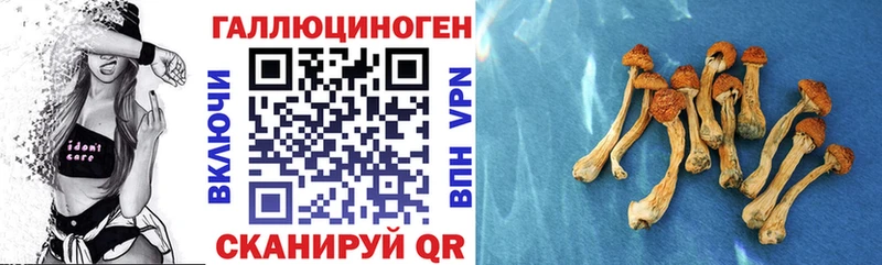 Псилоцибиновые грибы ЛСД Бобров
